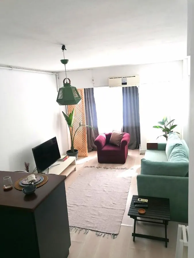 Cosy Flat In Ortakoy Bosphorus Apartment Istanbul