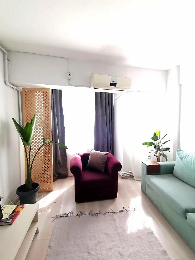 Cosy Flat In Ortakoy Bosphorus Apartment Istanbul 0*,  Turkey