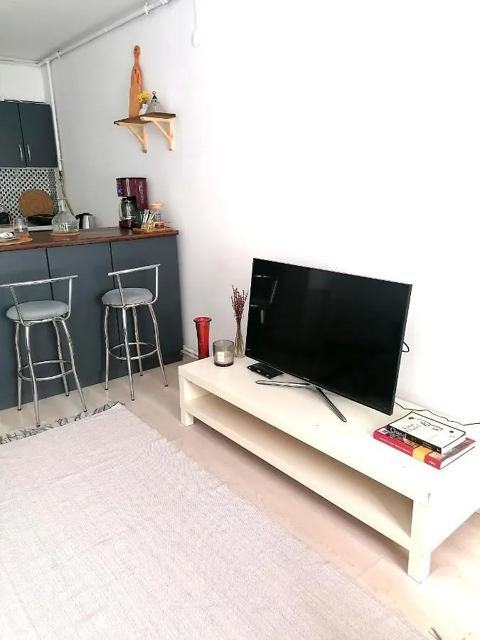 Cosy Flat In Ortakoy Bosphorus Apartment Istanbul