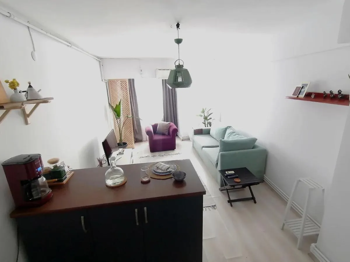 Cosy Flat In Ortakoy Bosphorus Apartment Istanbul Turkey